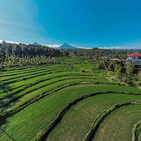 Candra Cottage Munduk Dış mekan fotoğraf