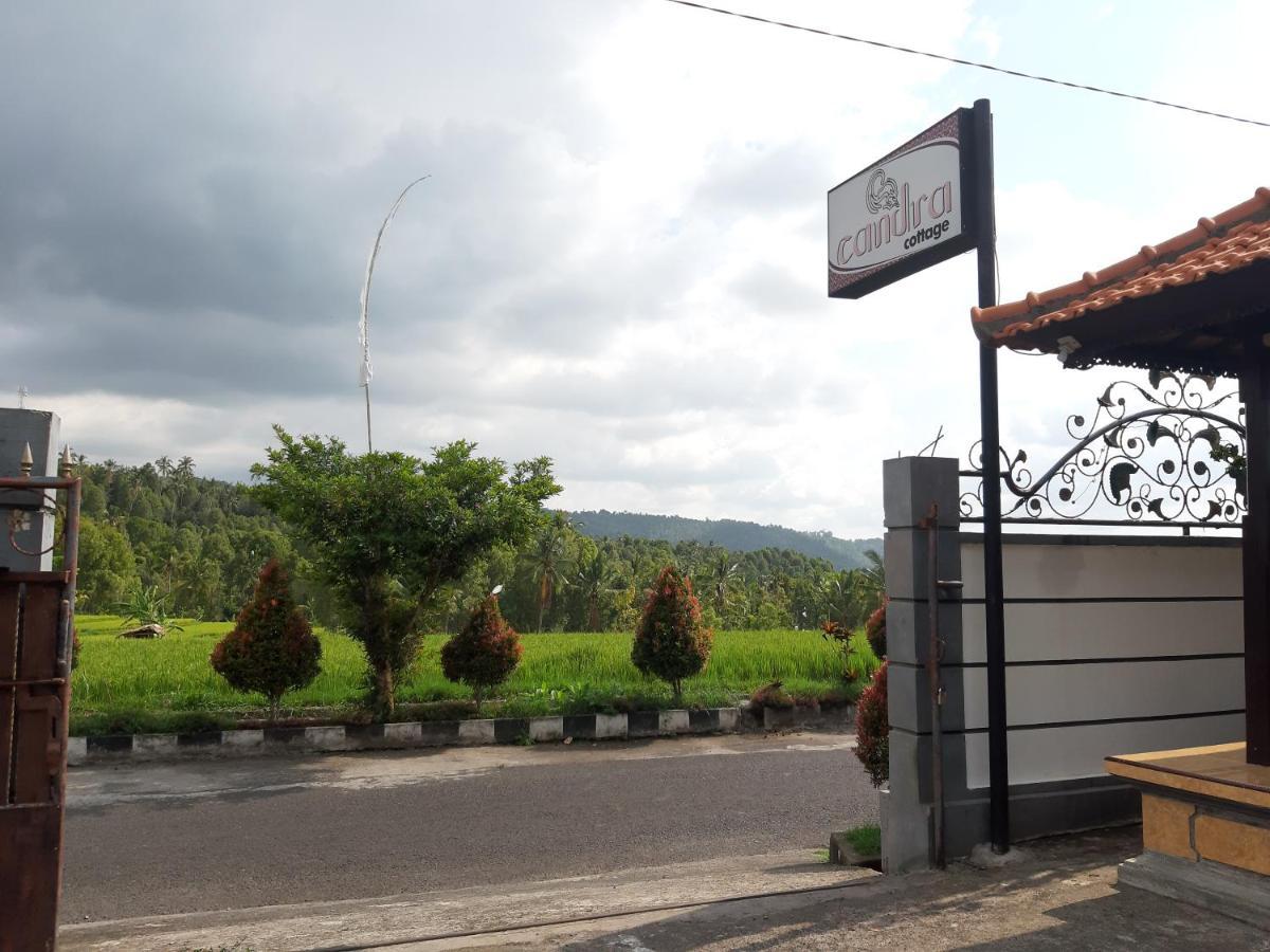 Candra Cottage Munduk Dış mekan fotoğraf