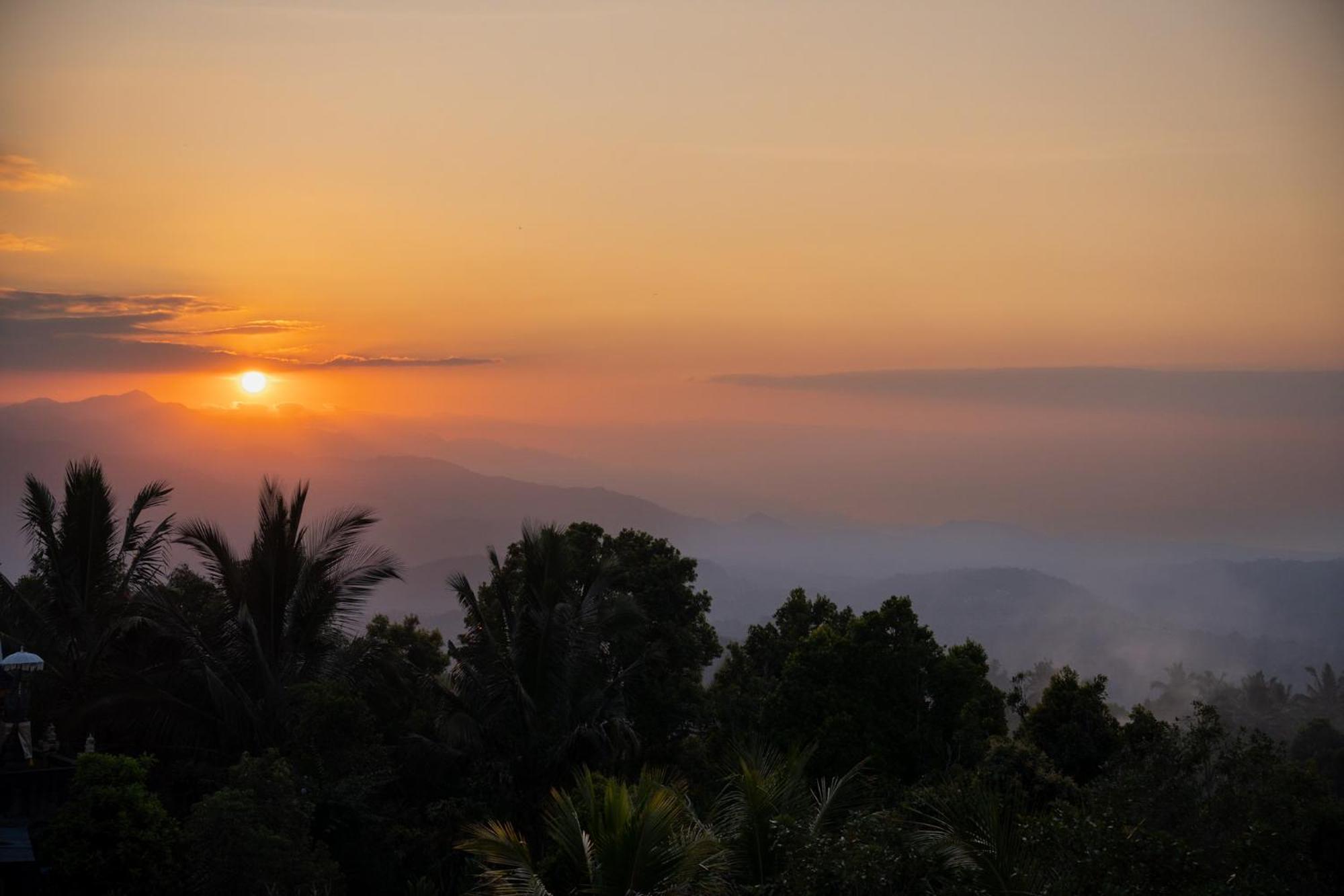 Candra Cottage Munduk Dış mekan fotoğraf