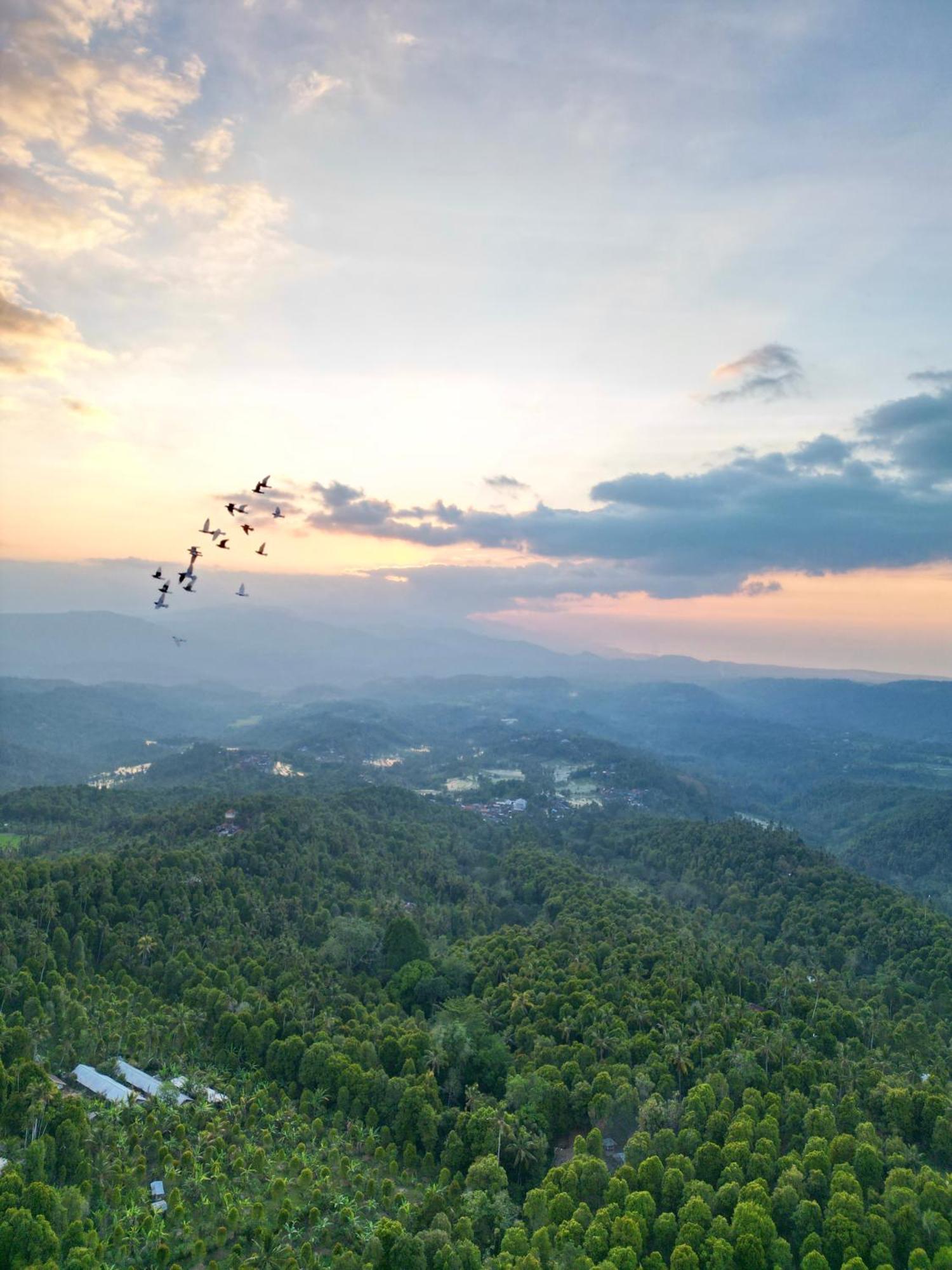 Candra Cottage Munduk Dış mekan fotoğraf