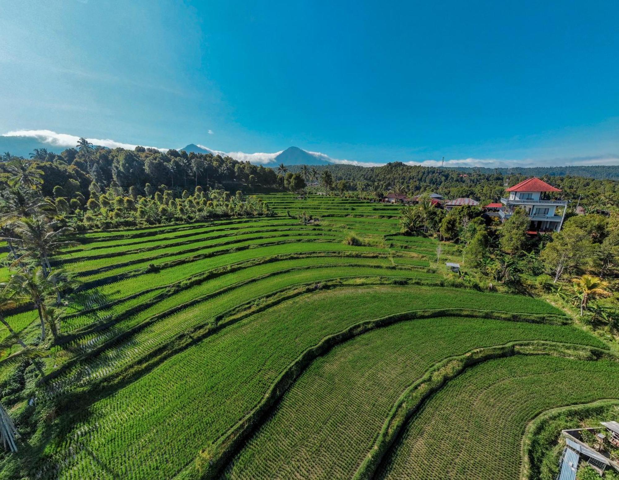 Candra Cottage Munduk Dış mekan fotoğraf
